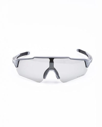 Shark Glasses