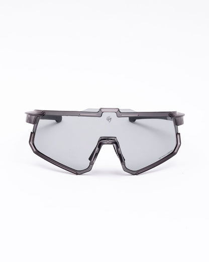 Stingray Glasses
